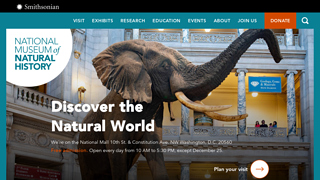 preview naturalhistory.si.edu